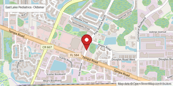 Static map for East Lake Pediatrics Oldsmar location