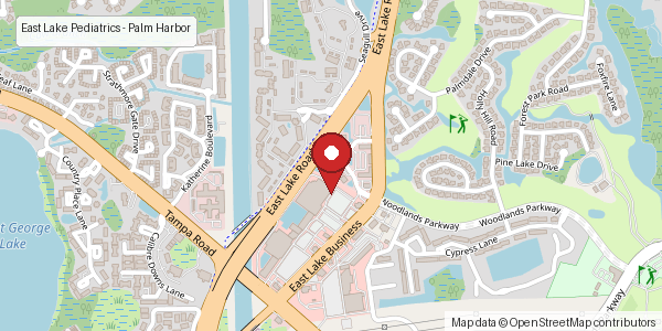 Static map for East Lake Pediatrics Palm Harbor location
